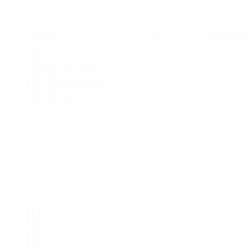 mdt-logo-weiß